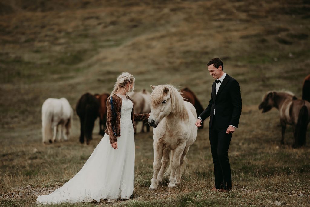 Elopement with Icelandic ponies
